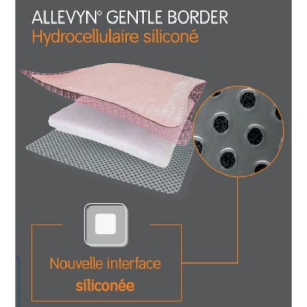 ALLEVYN GENTLE BORDER 10 x 20 cm Bte/10 - Pansement Hydrocellulaire Siliconé