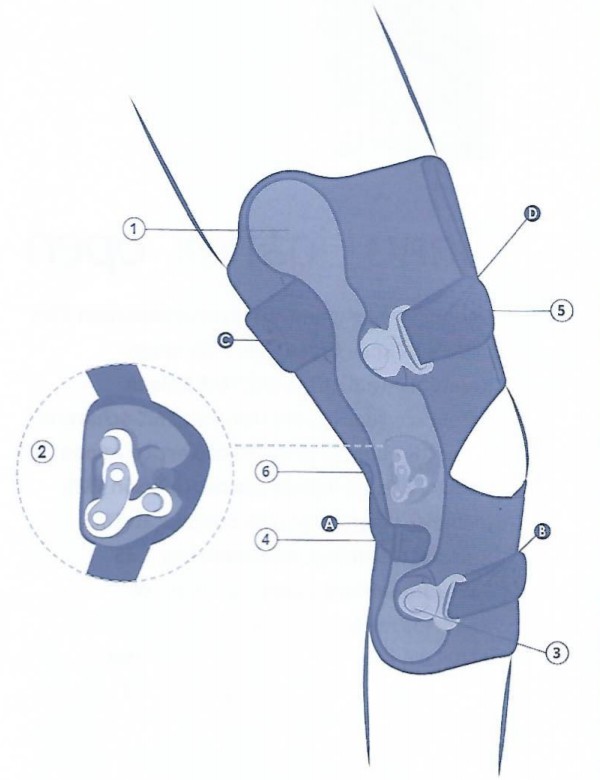 Genouillère ligamentaire GENU LIGAFLEX® - reha team - ortho team