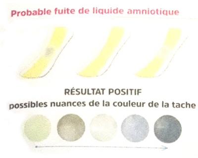SAUGELLA Protège Slip AmnioCheck - Autotest Détecteur de Fuite de Liquide  Amniotique - Bte/6