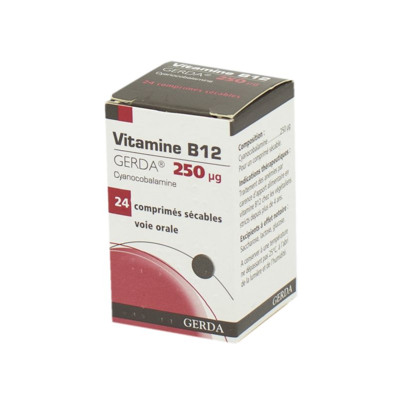 VITAMINE B12 GERDA comprimés Pharmacie du Centre 80300 ALBERT 3113644