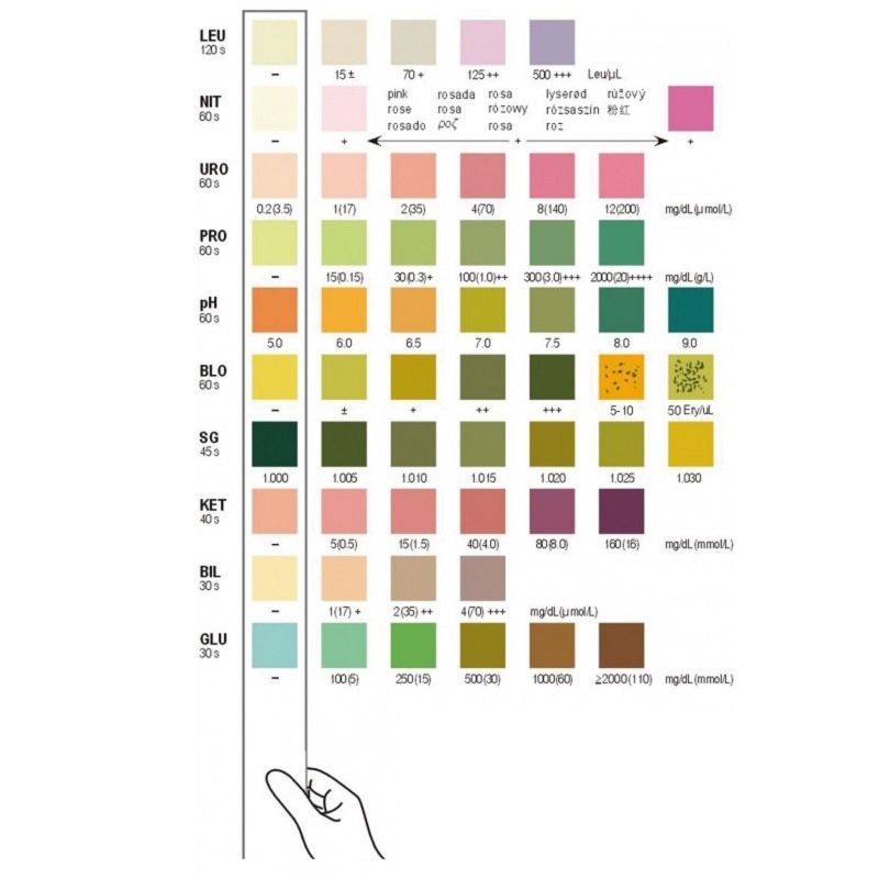 EXACTO PRO Uritop Test Urinaire Bte/50 Autotest, Bandelette Réactive 10 Paramètres 3532679426432