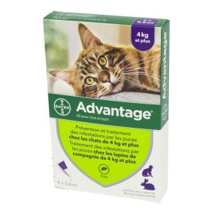 ADVANTAGE 80 - Bte/4 Pipettes de 0.8ml - Chat et Lapin de plus de 4kg - Infestions par les Puces