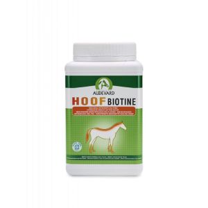 HOOF BIOTINE 1kg - Besoins intensifs du Pied du Cheval