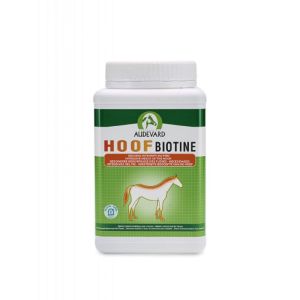 HOOF BIOTINE 1kg - Besoins intensifs du Pied du Cheval