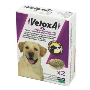 VELOXA XL 2 Comprimés - Chien +17.5kg - Vermifuge Associant 3 Anthelminthiques