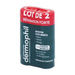 DERMOPHIL INDIEN PHYTO Lot de 2 Sticks Lèvres Réparation Chrono Forte - Lèvres Abîmées - 2x 4g