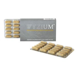 WYZIUM 300 Comprimés - Micronutrition Antioxydante à Visée Oculaire