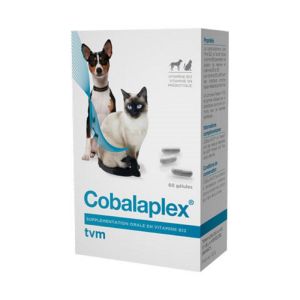 COBALAPLEX 60 Gélules - Apport en Vitamines B9, B12, Prébiotiques