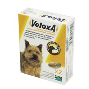 VELOXA 2 Comprimés - Chiot et Chien -17.5kg - Vermifuge Associant 3 Anthelminthiques