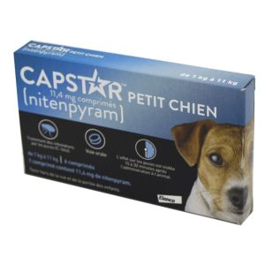 CAPSTAR PETIT CHIEN 11.4mg Nitenpyram Bte/6 Comprimés - Traitement des Infestations par les Puces