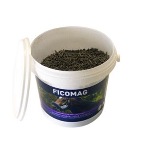 FICOMAG 1.3kg - Papillomes, Verrues, Protection et Entretien de la Peau pour Cheval et Poney
