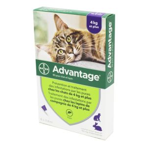 ADVANTAGE 80 - Bte/6 Pipettes de 0.8ml - Chat et Lapin de plus de 4kg - Infestions par les Puces