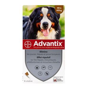 ADVANTIX Très grand chien +40 kg 6 pipettes