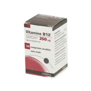 Vitamine B12 Gerda 250 µg, 24 comprimés sécables