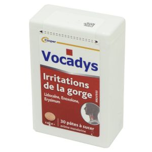 Vocadys, pâte à sucer - Boite de 30