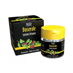 PHYTOCLASSICS BUSSEROLE - Confort Urinaire - Complément Alimentaire Contribuant au Bon Fonctionnemen