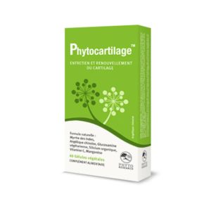 PHYTOCARTILAGE 60 Gélules Végétales - Complément Alimentaire à Visée Articulaire, Cartilages