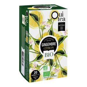 DAYANG BIO OUI TEA Gingembre Citron Infusions 20x 1.5g - Préparation de Plantes BIO pour Infusion