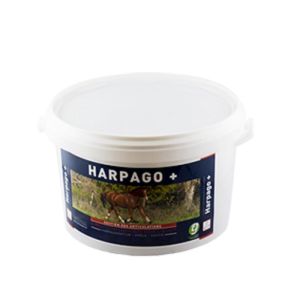 HARPAGO+ 1.5kg - Soutien des Articulations du Cheval de Sport ou Agé