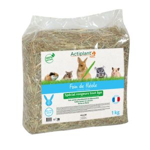 ACTIPLANT NAC Foin de Fléole 1kg Décompressé - Spécial Rongeurs Tout Age
