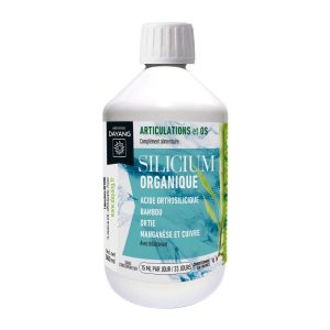 DAYANG SILICIUM ORGANIQUE 500ml - Articulations et Os