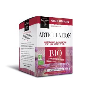 DAYANG ARTICULATION BIO Ampoules 20x 10ml - Souplesse, Flexibilité et  Mobilité Articulaire