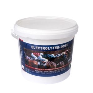 ELECTROLYTES DOSE Poudre 4kg - Compensation de la Perte d' Electrolytes en Cas de Forte Sudation - Cheval de Sport