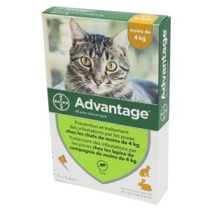 ADVANTAGE 40 Bte/6 Pipettes de 0.4ml - Chat et Lapin de moins de 4kg - Infestions par les Puces