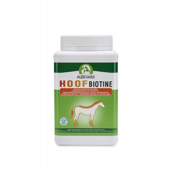 HOOF BIOTINE 1kg - Besoins intensifs du Pied du Cheval