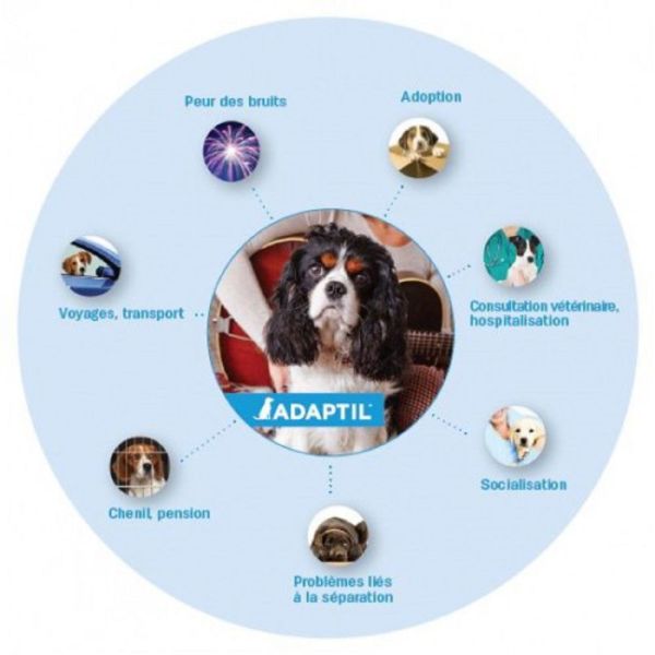 ADAPTIL CALM Collier 37.5cm - Stress du Chien Jusqu'à 15kg - 1 Unité