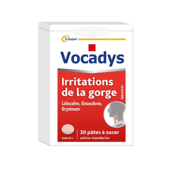 Vocadys, pâte à sucer - Boite de 30