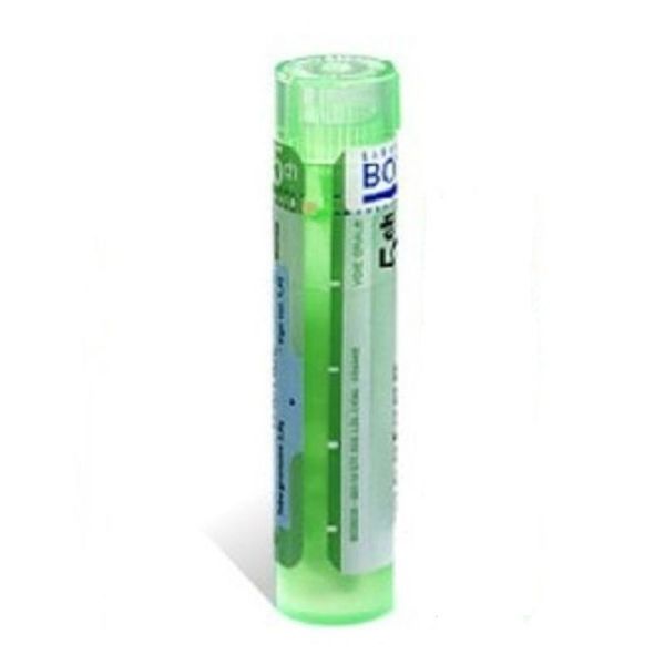 EQUISETUM HIEMALE tube-granules 6DH, 15DH, 4CH à 15CH BOIRON