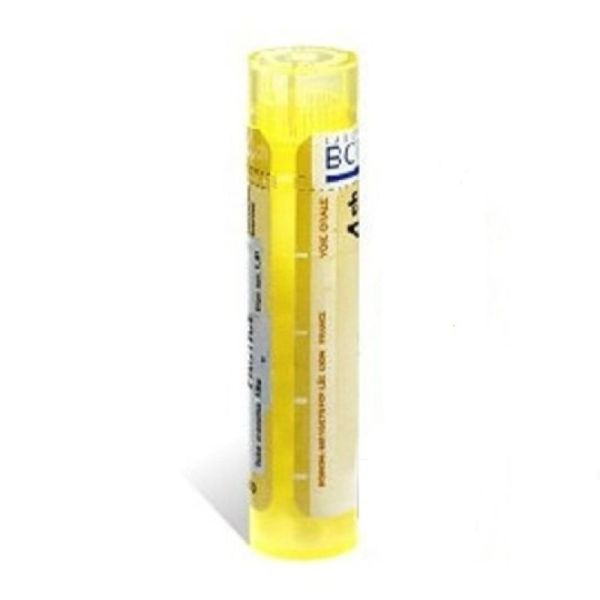 EQUISETUM HIEMALE tube-granules 6DH, 15DH, 4CH à 15CH BOIRON