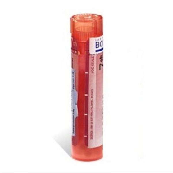 Ambra grisea tube-granules, 8 à 30 DH, 4 à 30 CH - Boiron