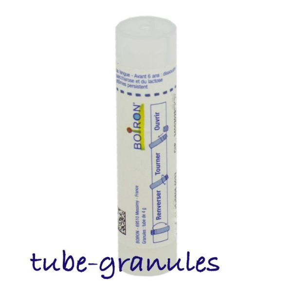 Ferrum metallicum tube-granules 8DH, 4CH à 30CH Boiron