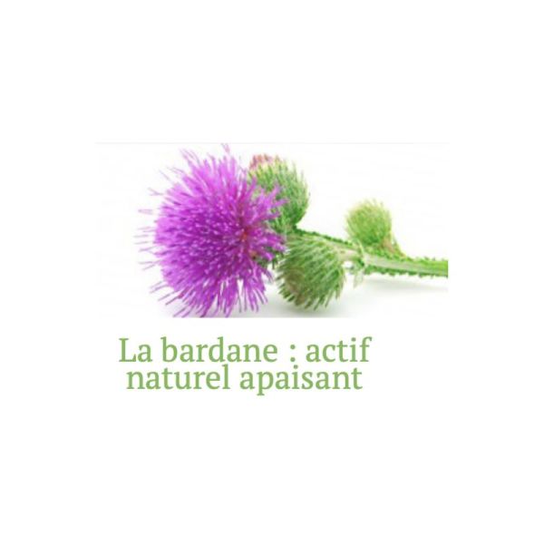 SAFORELLE 100ml Soin Lavant Ultra Hydratant - Sécheresse Intime, Muqueuses - Bardane, Aleo Vera