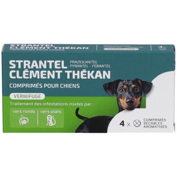 CLEMENT THEKAN Strantel 4 comprimés - Vermifuge pour Chien Adulte à Partir de 10 kg - Goût Porc