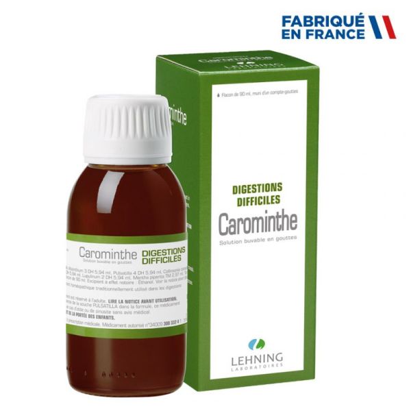 Lehning Carominthe solution buvable digestions difficiles - Fl/90 ml