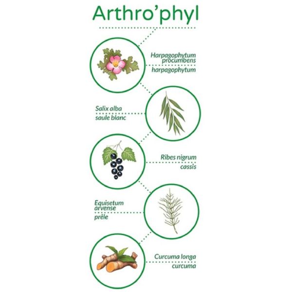 VETOPHYLUM ARTHRO'PHYL 30 Gélules Chat, Chien - Articulations, Muscles