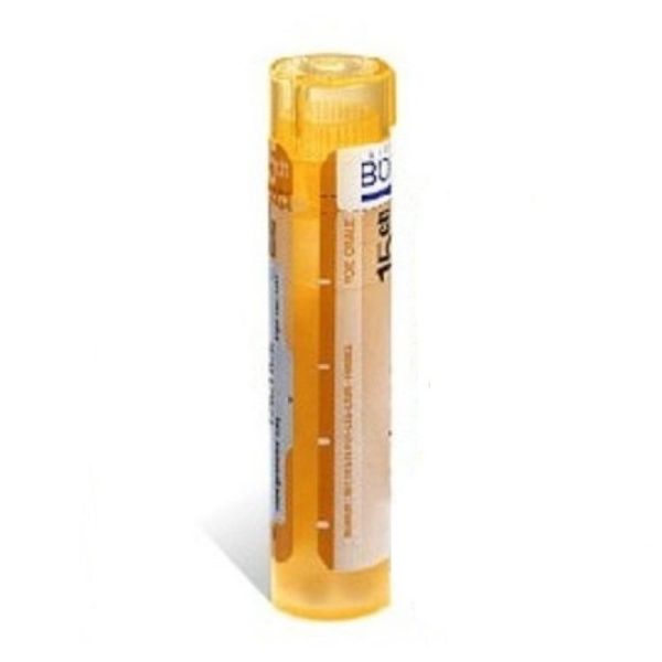 NATRUM SULFURICUM tube-granules 4 à 6DH, 4 à 30CH BOIRON