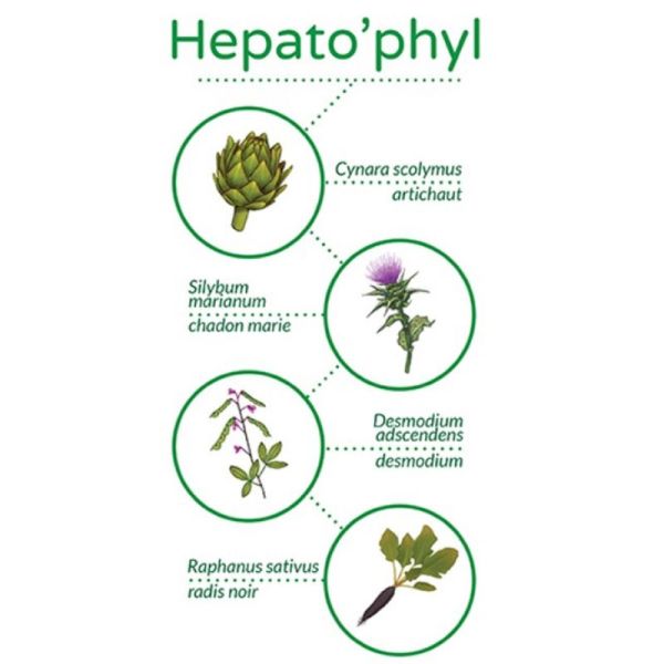 VETOPHYLUM HEPATO'PHYL 30 Gélules Chat, Chien - Soutien de la Fonction Hépatique