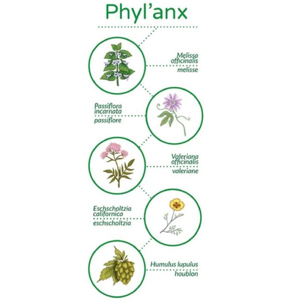 VETOPHYLUM PHYL'ANX 30 Gélules Chat, Chien - Anxiété, Stress