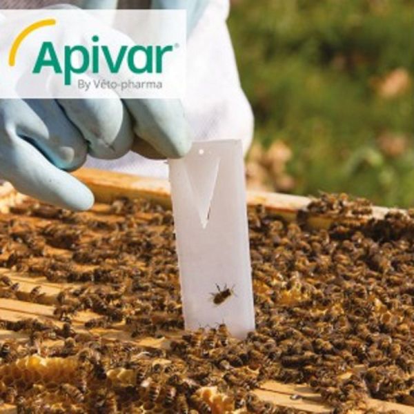 APIVAR 10 Lanières Antiparasitaires Externes - Varroase chez les Abeilles