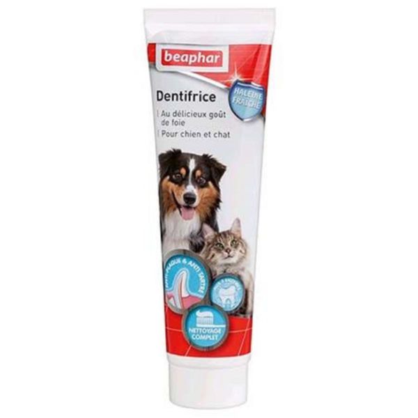 BEAPHAR COMBI PACK Comprenant 1 Dentifrice 100g + 1 Brosse à Dents Double Tête - Chien et Chat