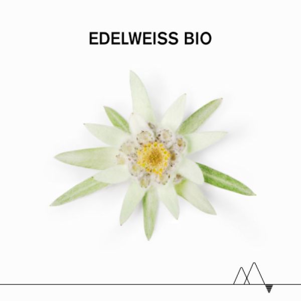 URIAGE Bébé 1ères Lingettes d'Eau Nettoyante Dévidoir/70 - à l'Edelweiss Bio - Visage, Corps, Siège