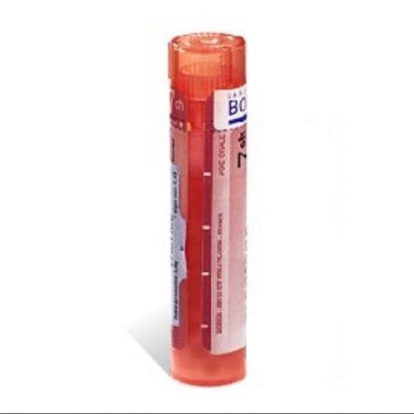 NATRUM SULFURICUM tube-granules 4 à 6DH, 4 à 30CH BOIRON