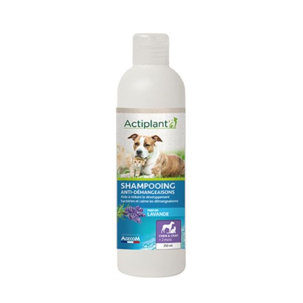 ACTIPLANT CHAT CHIEN Shampooing Anti-Démangeaisons 250ml - Hygiène du Pelage, Démangeaisons