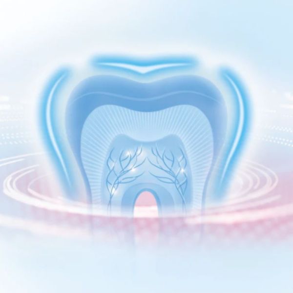 ORAL B Profesionnels 3 Brosse à dents Electrique Nettoyage et Protection - 1 Unité