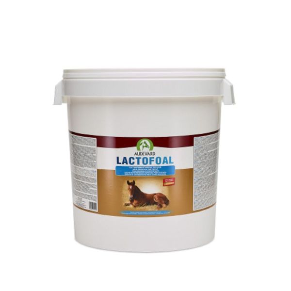 LACTOFOAL 2.2kg - Lait Maternisé en Poudre pour Poulain