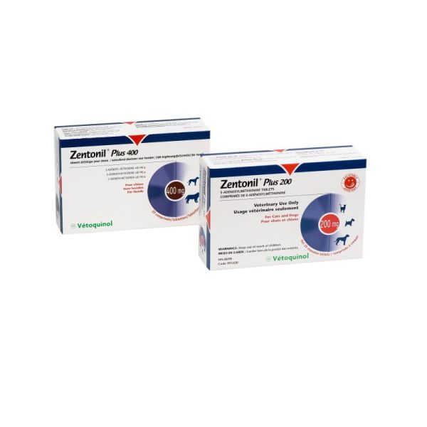 Zentonil Plus 400mg 30 Comprimes